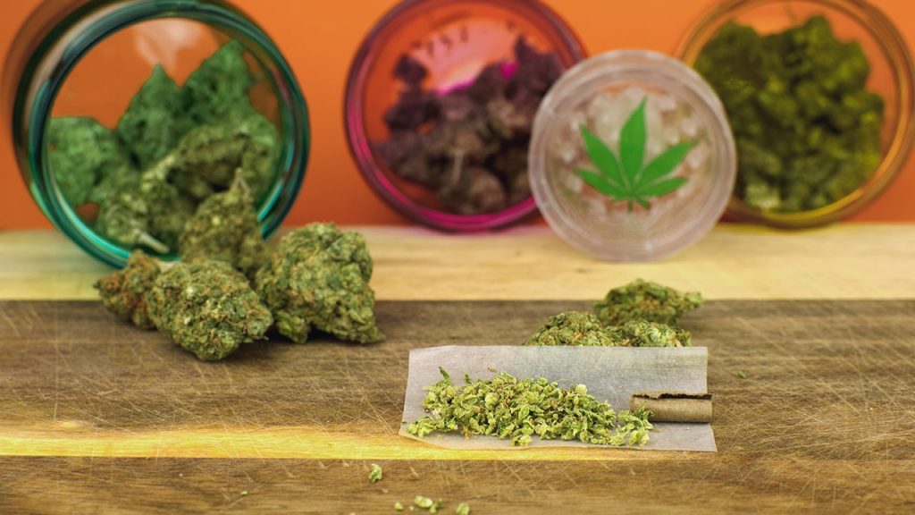 L'enthousiasme du pollen CBD