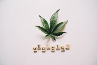 Le CBD en France : ce que dit la loi en 2026
