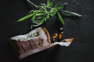 Cultiver du chanvre : les bases et le cadre légal